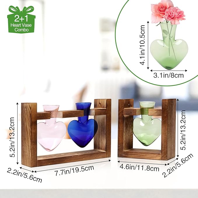 2+1 Plant Terrarium Plant Propagation Station Birthday Gifts for Women Plant Lovers Home Office Decor with Wooden Stand