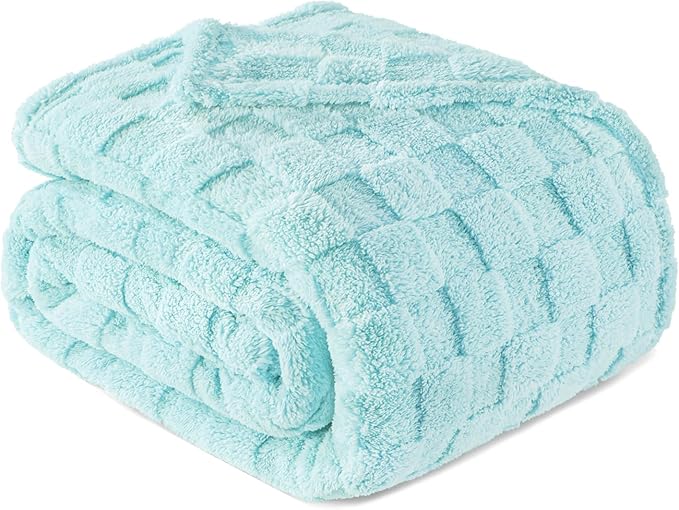 Exclusivo Mezcla Twin Size Flannel Fleece Blanket, Super Soft and Warm Lightweight Checkered Pattern Blankets for All Seasons, 60x80 Inches, Light Blue