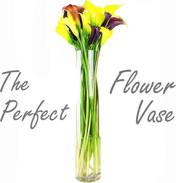 CYS Excel Clear Glass Cylinder Vase (H:24" D:4") | Multiple Size Choices Glass Flower Vase Centerpieces | Hurricane Floating Candle Holder Vase