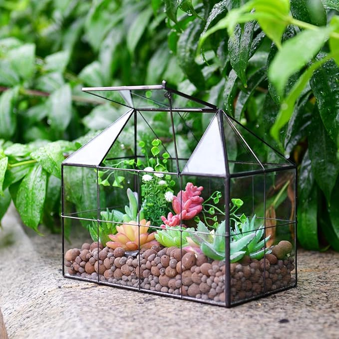 Large Glass Terrarium House Planter – Succulent Plant Terrarium House Shape Glass Greenhouse Terrarium with lid 9.8"X7.9"X5.9" NA