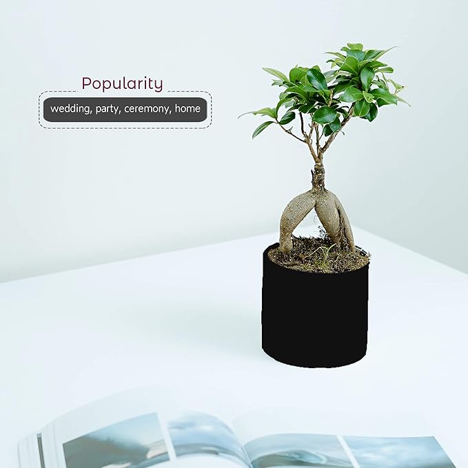 WGVI Matte Black Ceramic Cylinder Vase Width 3.75" Height 4", Flower Arrangements, Candle Holder, Terrarium Planter Pot, Storage Container Organizer, Pen Brush Holder, Centerpieces, 1 Piece