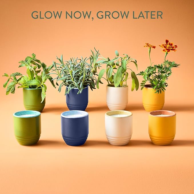 Modern Sprout Garden Vibes 2-in-1 Soy Candle & Planter - 3-Pack Indoor Set (Violet Hour, in The Weeds, Golden Moments) 6 Oz Scented Candles with Lavender, Sage & Mint Seeds – 38–40 Hr Burn Each