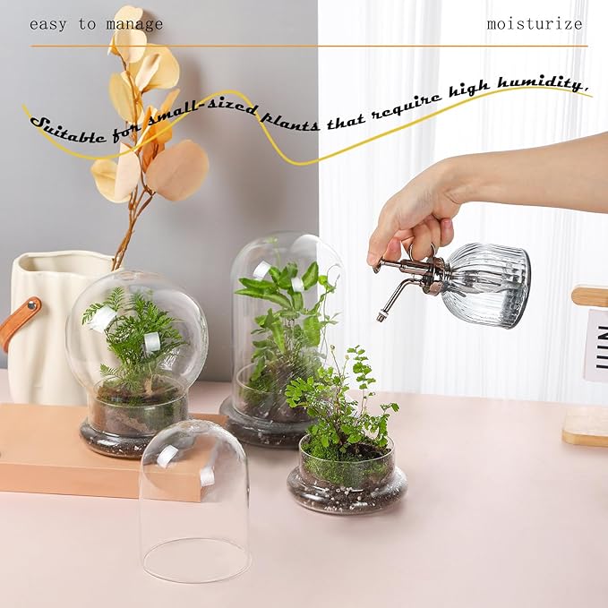 WHJY Round Glass Cloche for Indoor Plants - Small Terrarium with Air Hole, Base, Mini Dome for Display Home Decor