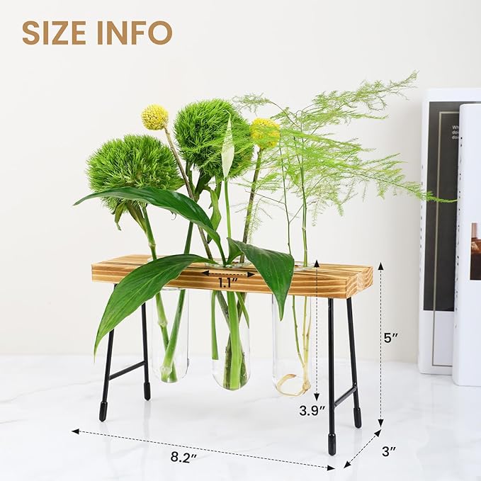 Plant Propagation Station, Glass Terrarium, Ideal for Cuttings and Flower Stems, Perfect Home & Office Decor, Great Gift for Plant Lovers