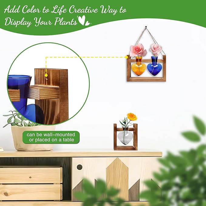 2+1 Plant Terrarium Plant Propagation Station Birthday Gifts for Women Plant Lovers Home Office Decor with Wooden Stand