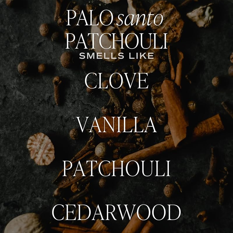 Sweet Water Decor Palo Santo Patchouli Reed Diffusers for Home - Room Diffuser with Nutmeg, Patchouli & Olibanum Scent - Reed Diffuser for Bathroom Lasts for 3 Months - Home Diffuser with Premium Oil