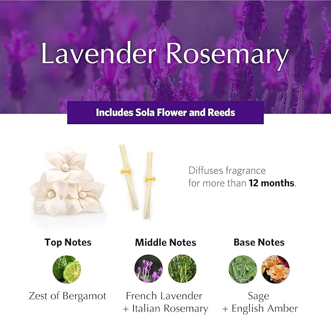 AGRARIA AirEssence Flower and Reed Diffuser Set, Hand Crafted Sola Flower Botanical Home Fragrance Diffuser, Scented Oil Reed Diffuser, Flower and Reed Diffuser Gift Set for All Occasions