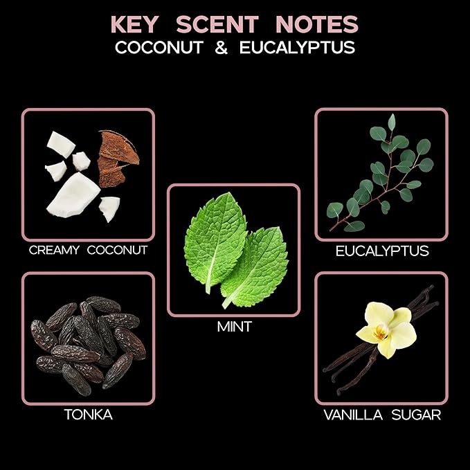 LOVSPA Coconut & Eucalyptus Reed Diffuser Set - Reed Diffusers for Home with Long Lasting Fragrance - Non-Toxic Oil Reed Diffuser - Made in The USA