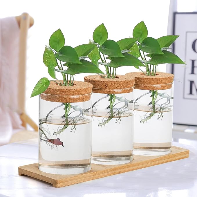 Lawei 3 Pcs Plant Terrarium Propagation Stations, Tabletop Glass Water Planting Glass Vase with Wooden Tray, Clear Jars Containers for Grow Hydroponic Plants Home Office Decoration