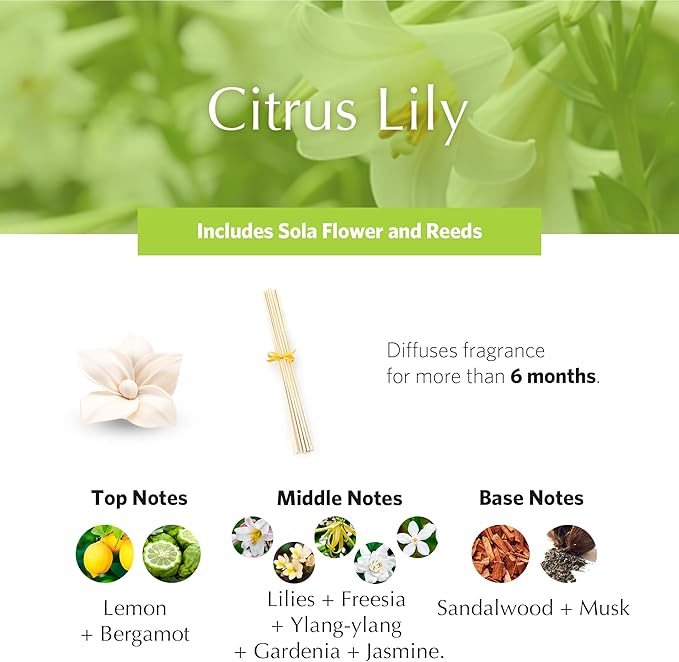 AGRARIA PetiteEssence Flower and Reed Diffuser Set, Handcrafted Sola Flower Botanical Home Fragrance, Scented Oil Diffuser Gift Set for All Occasions