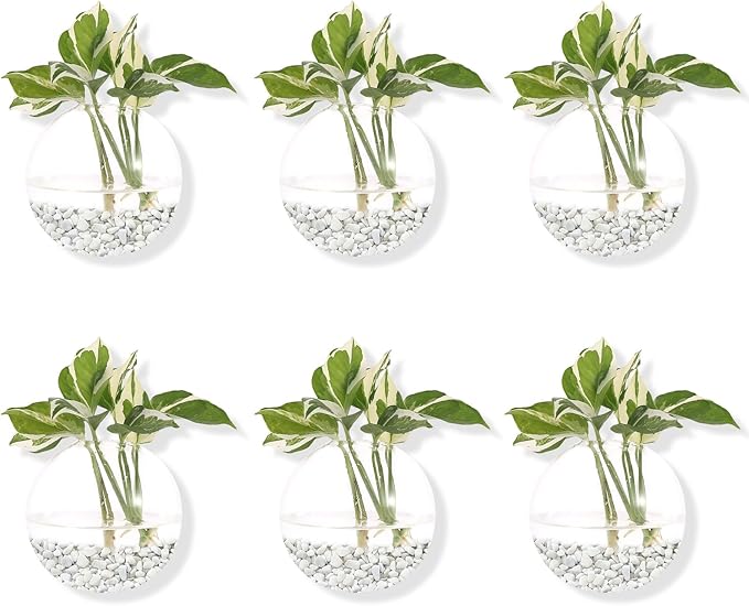 Hanging Wall Planters Pack of 6 Glass Planter Pots Round Glass Flower Vases Hanging Propagation Station Glass Plant Hanger Terrariums Wall Hanging Plant Container