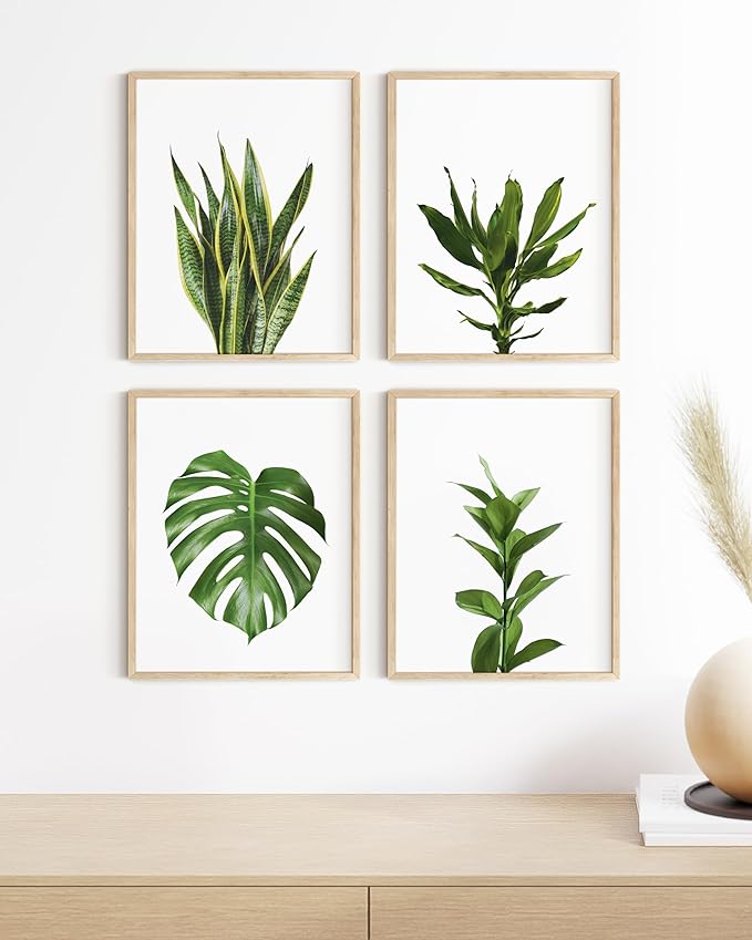 HAUS AND HUES Plant Photo Set of 4-8x10