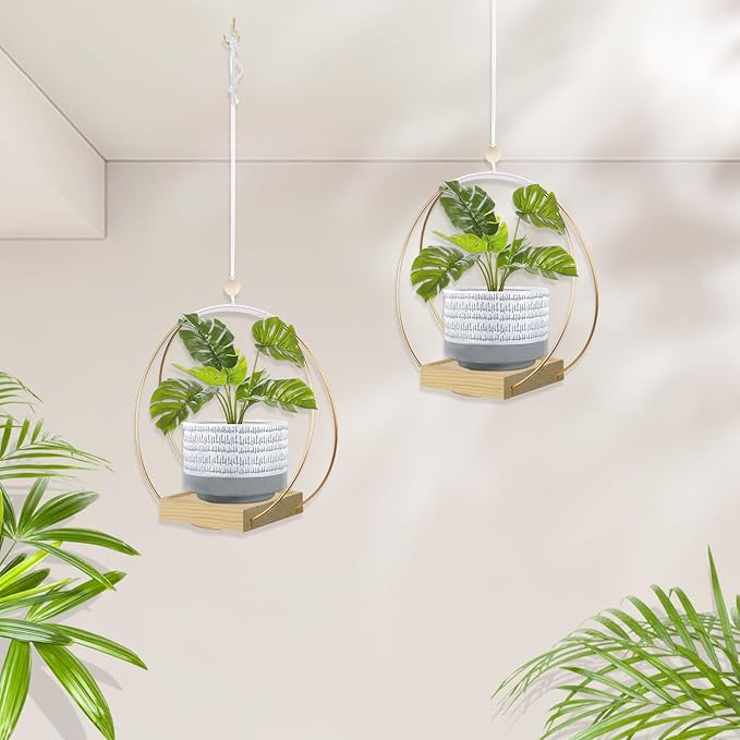 Hanging Planter for Indoor Plants, Plant Hanger with Sturdy Wood Base,Modern Boho Macrame Plant Hanger,Wall Ceiling Window Stands(Plants/Pots Not Included)