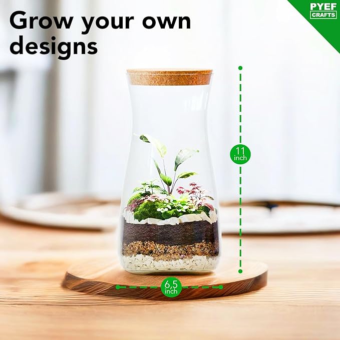DIY Terrarium Kit for Adults – Build Your Own Self‑Sustaining Closed Ecosystem – 34 fl oz (1‑Liter) Glass Terrarium – Succulents, Air Plants, Fittonia, Fern – Plants Not Included