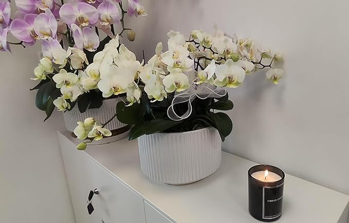 Lavender Scented Candle, Aromatherapy Candle for Home Scented - 55 Hours Long Lasting Soy Wax Candle - Strong Fragranced Black Candle Gift for Women & Men, 8 oz