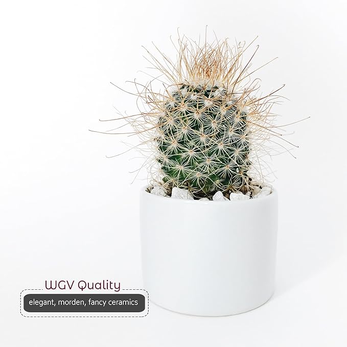 WGVI Matte White Ceramic Cylinder Vase Width 6.5" Height 6", Flower Arrangements, Candle Holder, Terrarium Planter Pot, Storage Container Organizer, Pen Brush Holder, Table top Decor, 1 Piece
