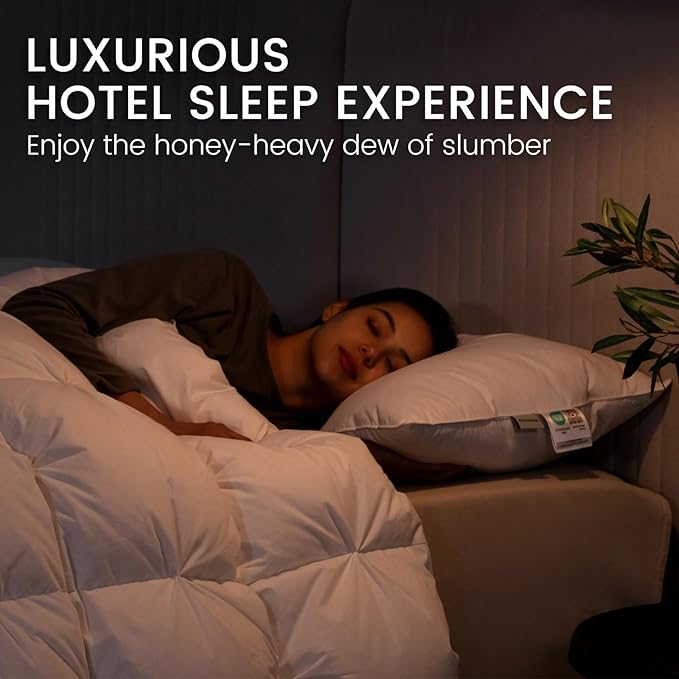 Alanzimo Goose Feather Down Pillows King Size Set of 2, Luxury Soft Feather Down Pillow for Sleeping, 600TC 100% Cotton Cover Hotel Collection Bed Pillows for Back, Stomach or Side Sleepers