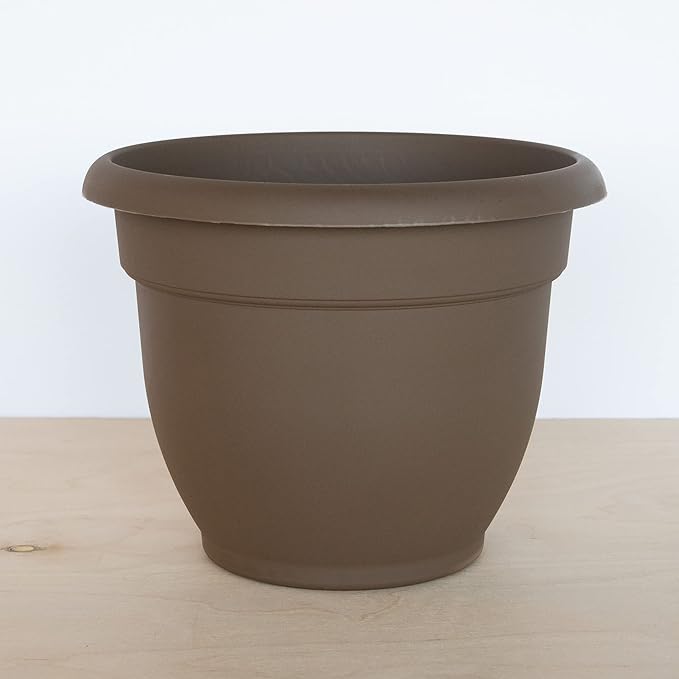 Bloem Ariana Self Watering Planter: 16" - Chocolate - Durable Resin Pot, for Indoor and Outdoor Use, Self Watering Disk Included, Gardening, 6 Gallon Capacity