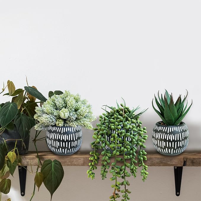 Winlyn Set of 3 Small Artificial Succulent Potted Plants Faux Aloe Hops Hanging Succulent in Black Concrete Planters for Gift Home Office Bathroom Living Room Wedding Windowsill Table Shelf Desk Décor