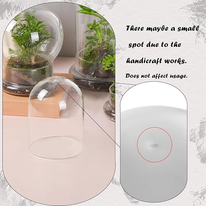 WHJY Round Glass Cloche for Indoor Plants - Small Terrarium with Air Hole, Base, Mini Dome for Display Home Decor