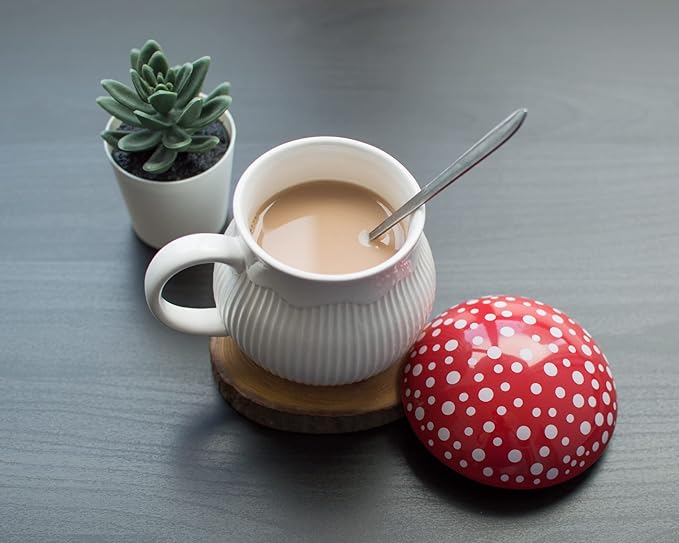 Mushroom Mug with Lid Stoneware Coffee Cup with Decorative Gift Box (Red), Cottagecore Aesthetic Decor