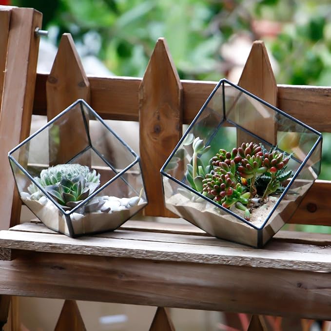 Glass Geometric Plant Terrarium Container, Flower Pot Tabletop Planter Decor Glass Display Box Succulent & Air Planter for Home Garden Office Decoration(Black Cubic Set of 2)