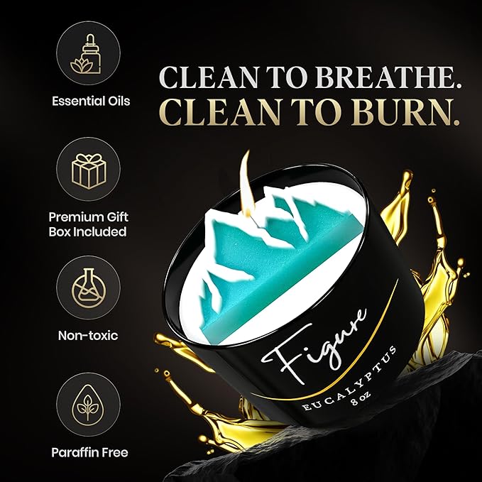 All Natural Aromatherapy Candle for Women & Men | Camping Candle | Repel Mosquitos | Beeswax & Organic Soy Wax Blend | Essential Oils | 100% Beeswax Wick | Premium Gift Box | Teal Mountain Eucalyptus