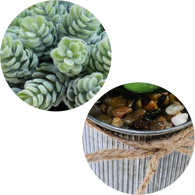 Winlyn Set of 3 Small Artificial Succulent Potted Plants Faux Aloe Hops Hanging Succulent in Rustic Galvanized Metal Pots Fake Plant Decor for Farmhouse Home Office Wedding Windowsill Table Shelf