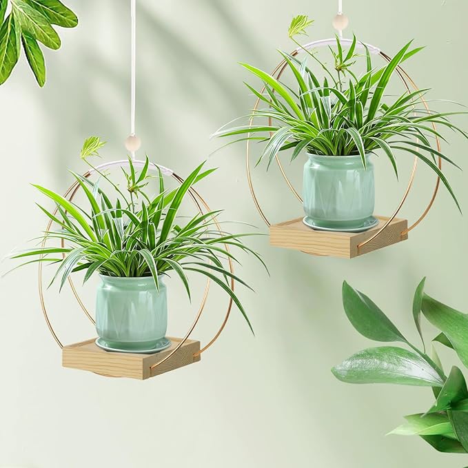 Hanging Planter for Indoor Plants, Plant Hanger with Sturdy Wood Base,Modern Boho Macrame Plant Hanger,Wall Ceiling Window Stands(Plants/Pots Not Included)