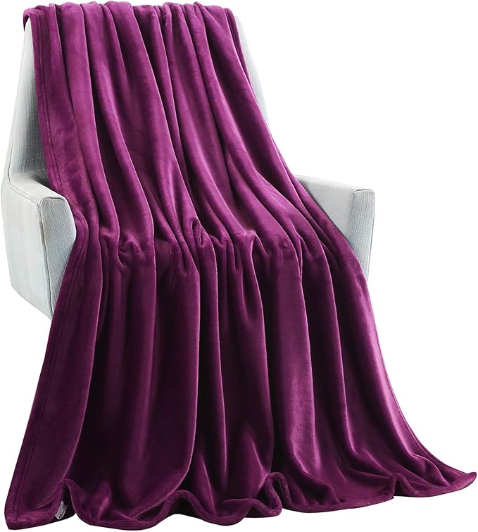 TASTHROW Large Flannel Fleece Throw Blanket, 50×70 Inch - Cozy Lightweight Thick Blanket - All Seasons Suitable for Women, Men and Kids (Two Pack, Purple)
