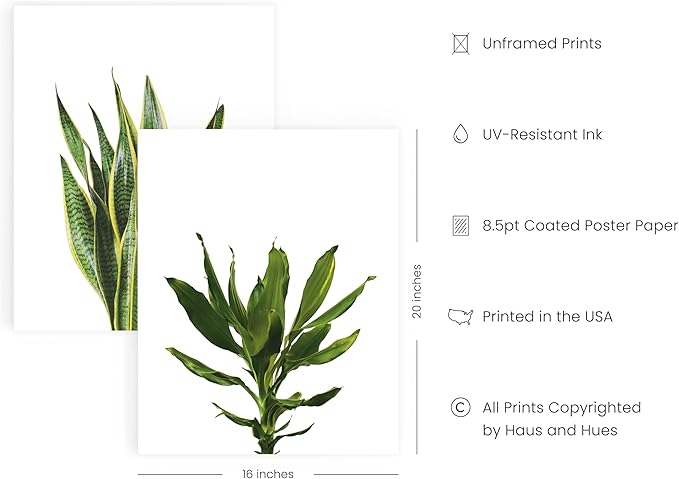 HAUS AND HUES Plant Wall Art - Set of 4 Plant Pictures Wall Art and Green Wall Art Collection, Botanical Prints, Sage Green Leaves Paintings For Wall, Minimalist Wall Art (16x20, Unframed)