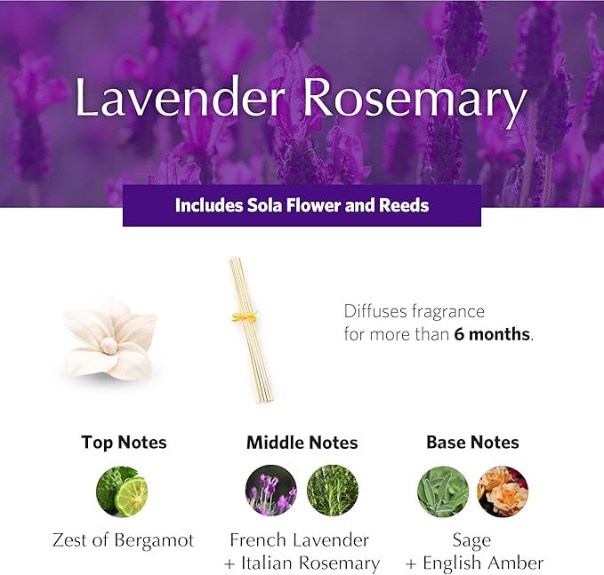 AGRARIA PetiteEssence Flower and Reed Diffuser Set, Hand Crafted Sola Flower Botanical Home Fragrance Diffuser, Scented Oil Reed Diffuser, Flower and Reed Diffuser Gift Set for All Occasions