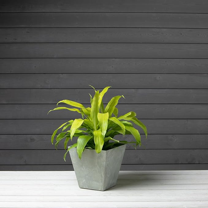 ArtStone 35106 Ella Square Planter, 10-Inch, Mint