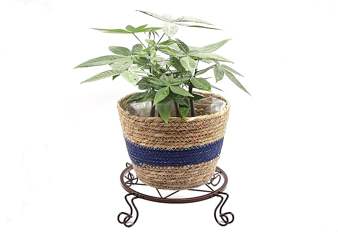Flower Pot Stand Heavy Duty 2 Pack Planter Holder Indoor Outdoor Home & Garden Decor(Champagne)