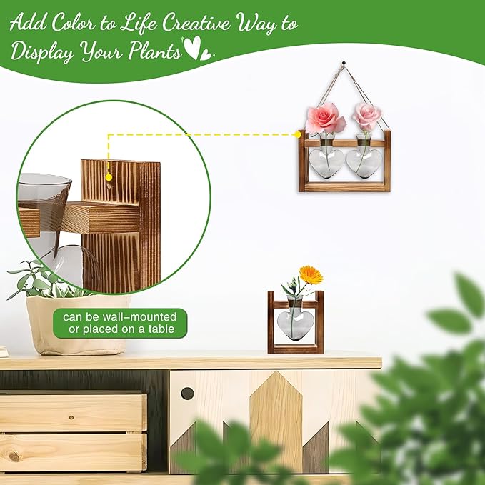 2+1 Plant Terrarium Plant Propagation Station Birthday Gifts for Women Plant Lovers Home Office Decor with Wooden Stand