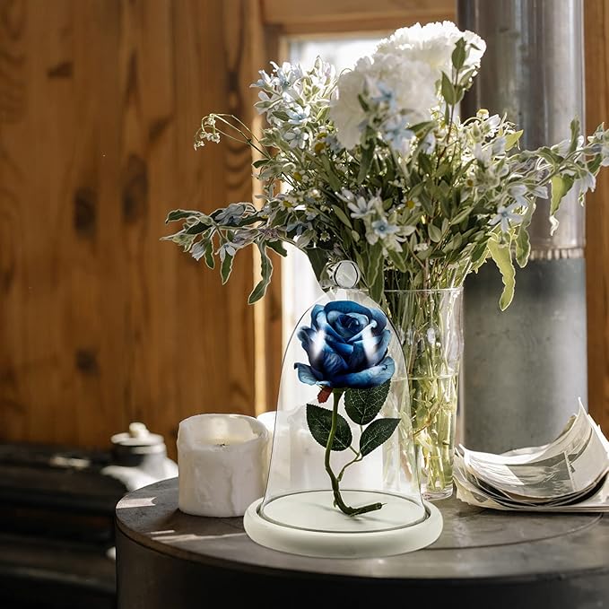 Clear Glass Dome Cloche with Rustic Wooden Base Antique Bell Jar Display Dome for Plants Succulents Fairy Lights Photos Medals Decorative Fill and More White
