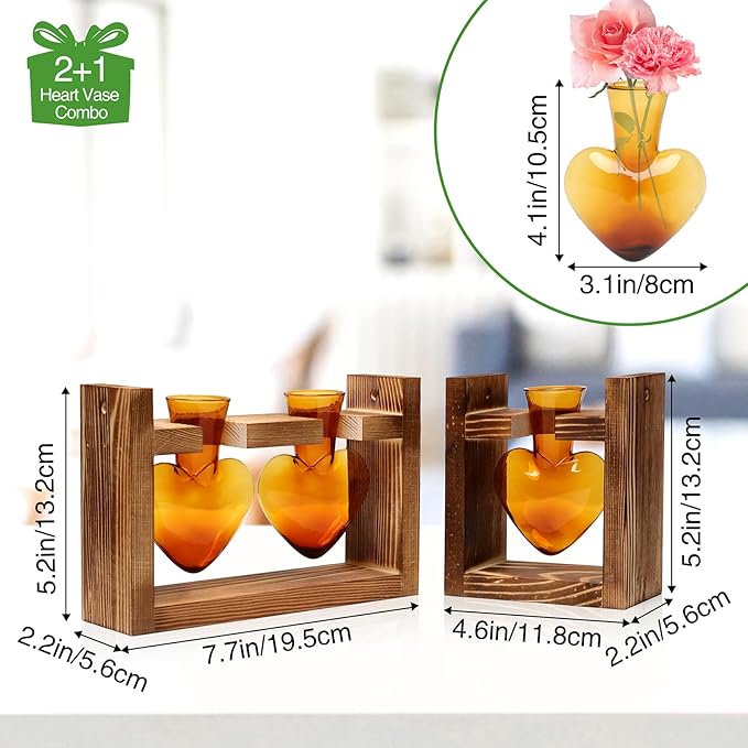 2+1 Plant Terrarium Plant Propagation Station Birthday Gifts for Women Plant Lovers Home Office Decor with Wooden Stand