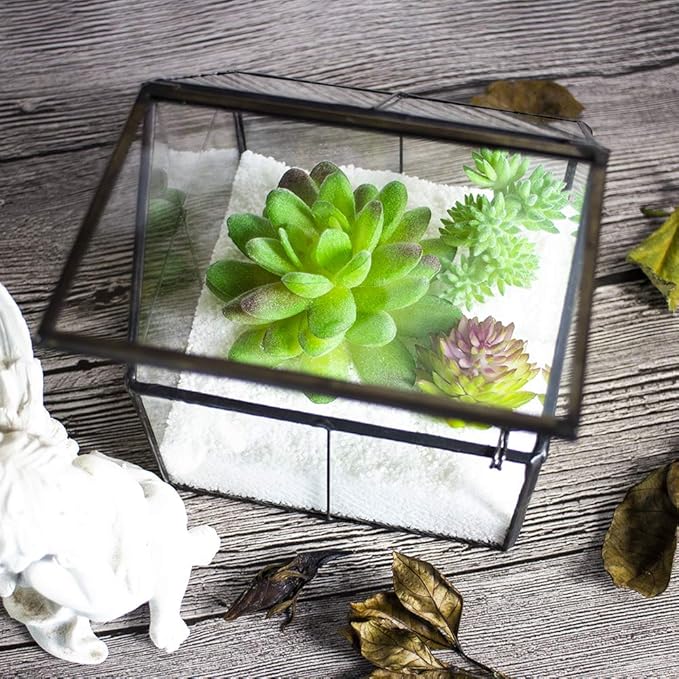 Ferrisland Glass Plant Terrarium Container Wardian Case Indoor Small Succulent Terrarium Planter w/Door for Tabletop Decor DIY - 4.9"x4.3"x4.3"