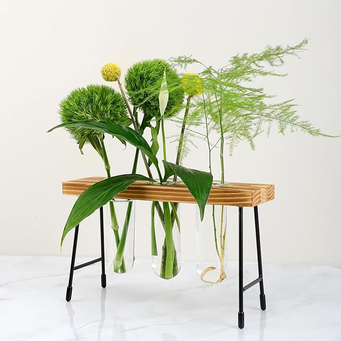 Plant Propagation Station, Glass Terrarium, Ideal for Cuttings and Flower Stems, Perfect Home & Office Decor, Great Gift for Plant Lovers