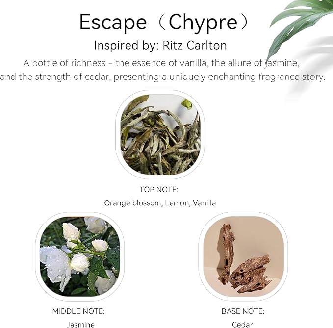 Fragrance Oil - Escape Essential Oil Blend - Luxury Hotel Inspired Home Aromatherapy Diffuser Oil - Orange Blossom, Vanilla, Jasmine, Cedar - for Diffuser, Humidifier, Ultrasonic, Reed - 150ML