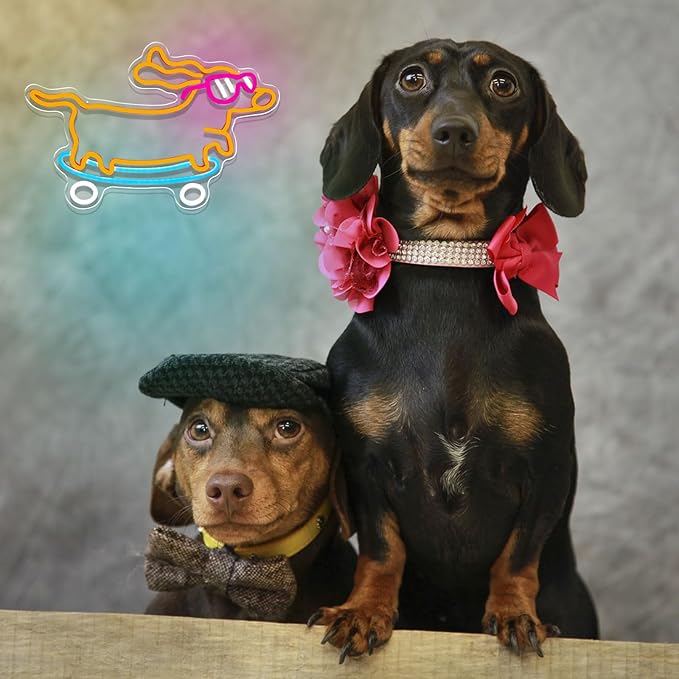 Dachshund Neon Sign Dimmable Led Skateboard Dog Neon Sign With Glasses Led Light Sign for Pet Shop Animal Bedroom Decor Art Wall Decor Gift for Pet Dog Lover Funny