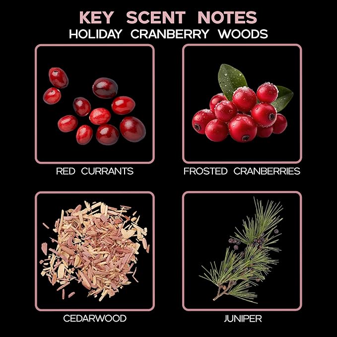 LOVSPA Holiday Cranberry Woods Reed Diffuser Set - Scented Stick Room Freshener - Red Currants, Frosted Cranberries, Cedarwood and Juniper - Modern Striped Glass Bottle - Made in The USA