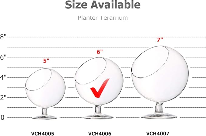 WGV Planter Terrarium with Stand, Ball Diameter 5" Height 6", Clear Glass Floral Container Vase, DIY Succulents Outdoor Garden Home Office Decor Slant Cut Orb, 6 Pieces