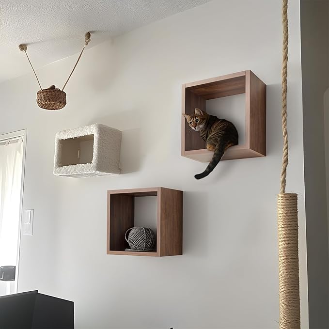 Kaboon Cube Floating Shelves Set2, Display Shelves Wall Mount 7.75" D x 12.5" W x 12.5" H, (Walnut, Square 2 Cubes)