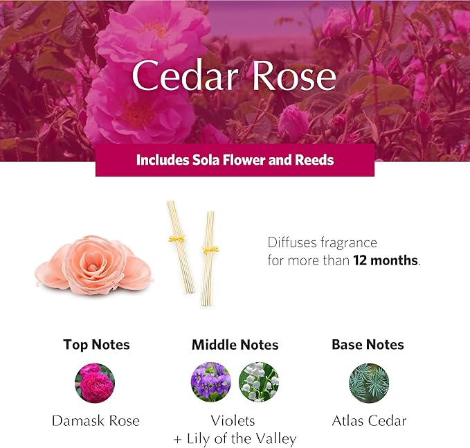AGRARIA AirEssence Flower and Reed Diffuser Set, Hand Crafted Sola Flower Botanical Home Fragrance Diffuser, Scented Oil Reed Diffuser, Flower and Reed Diffuser Gift Set for All Occasions