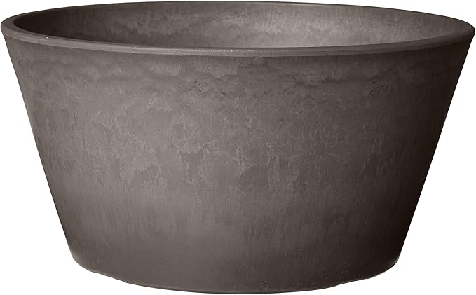 PSW Pot TD25DC Collection Shallow Bulb Pan Planter for Succulents, Bonsai, Fairy Gardens, Herbs, 10-inch, Dark Charcoal