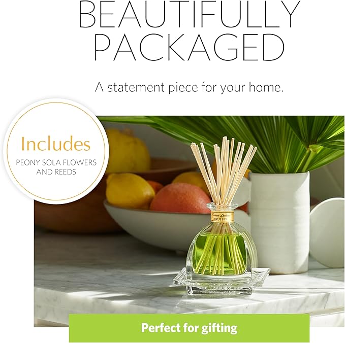 AGRARIA AirEssence Flower and Reed Diffuser Set, Hand Crafted Sola Flower Botanical Home Fragrance Diffuser, Scented Oil Reed Diffuser, Flower and Reed Diffuser Gift Set for All Occasions