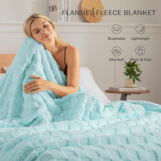 Exclusivo Mezcla Twin Size Flannel Fleece Blanket, Super Soft and Warm Lightweight Checkered Pattern Blankets for All Seasons, 60x80 Inches, Light Blue
