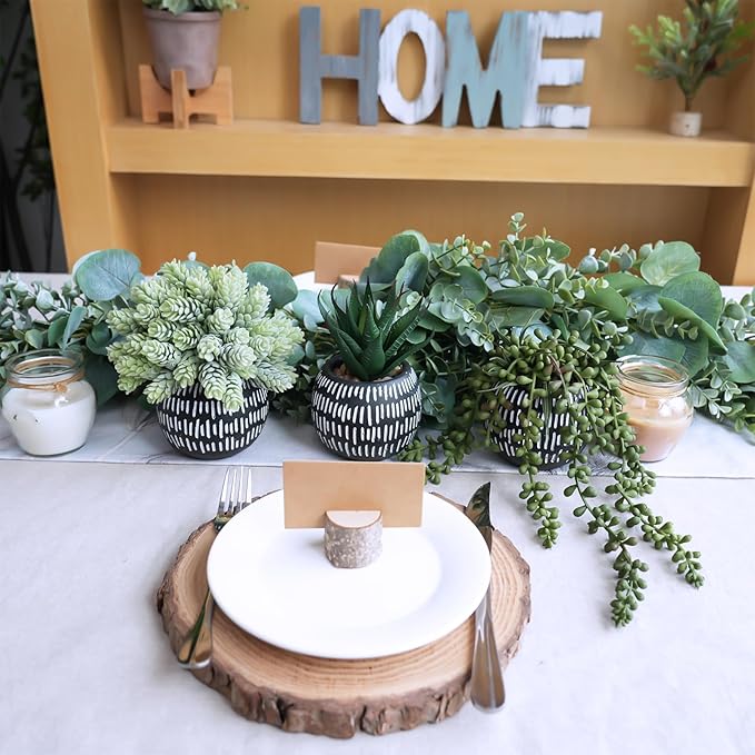Winlyn Set of 3 Small Artificial Succulent Potted Plants Faux Aloe Hops Hanging Succulent in Black Concrete Planters for Gift Home Office Bathroom Living Room Wedding Windowsill Table Shelf Desk Décor