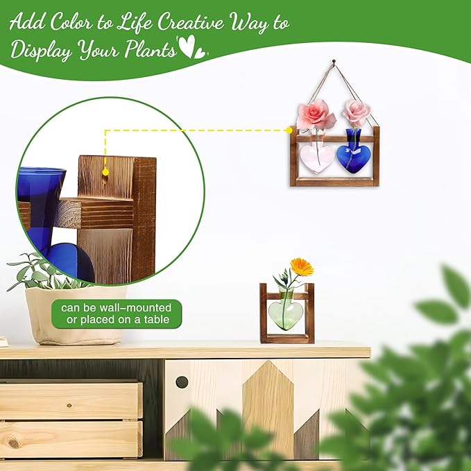 2+1 Plant Terrarium Plant Propagation Station Birthday Gifts for Women Plant Lovers Home Office Decor with Wooden Stand